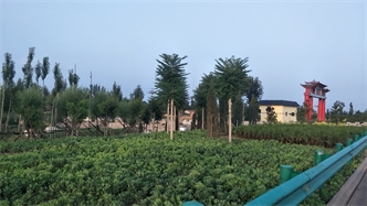 標(biāo)題：張家口經(jīng)開(kāi)區(qū)腰站堡飲用水源地生態(tài)涵養(yǎng)綠化
瀏覽次數(shù)：2984
發(fā)表時(shí)間：2020-10-16