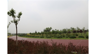 標(biāo)題：大青山南坡生態(tài)修復(fù)
瀏覽次數(shù)：2474
發(fā)表時(shí)間：2020-10-16