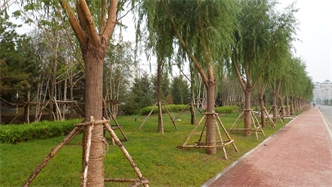 標(biāo)題：通遼市勝利北路道路景觀綠化
瀏覽次數(shù)：1886
發(fā)表時(shí)間：2020-10-16