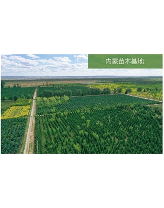標(biāo)題：苗木基地
瀏覽次數(shù)：2317
發(fā)表時(shí)間：2020-10-17