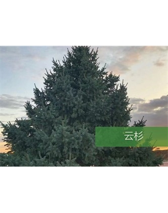 標(biāo)題：?jiǎn)坦嗄?瀏覽次數(shù)：2504
發(fā)表時(shí)間：2020-10-17