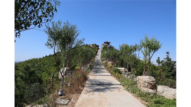 標(biāo)題：張家口太子山山體修復(fù)
瀏覽次數(shù)：19082
發(fā)表時(shí)間：2020-11-12